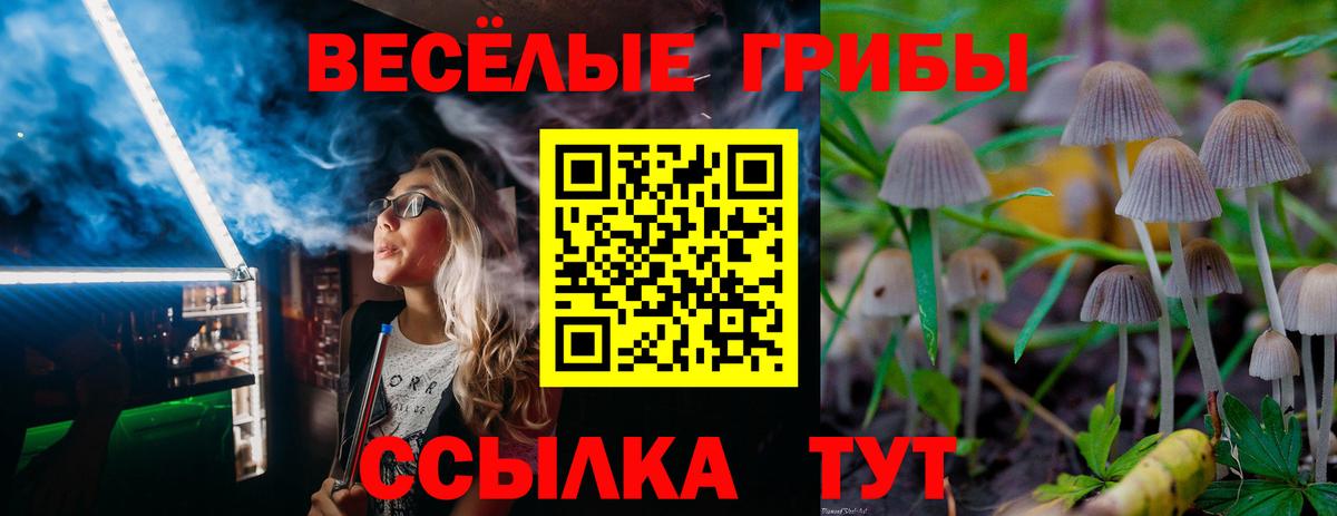 Галлюциногенные грибы прущие грибы  Вход с VPN  Псилоцибиновые грибы мицелий  Новоуральск 